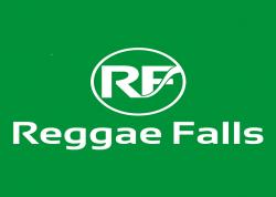 Reggae Falls Jamaica 